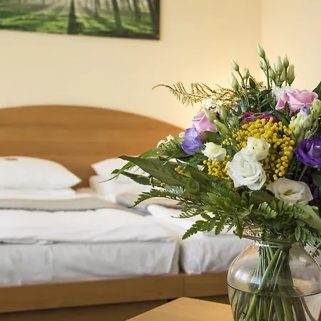 Hotel Astral'inn & Restaurant 3*